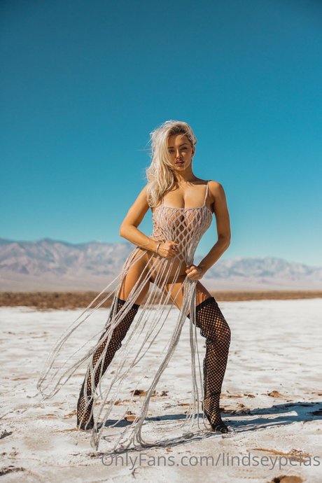 Lindsey Pelas nude leaked OnlyFans photo #628