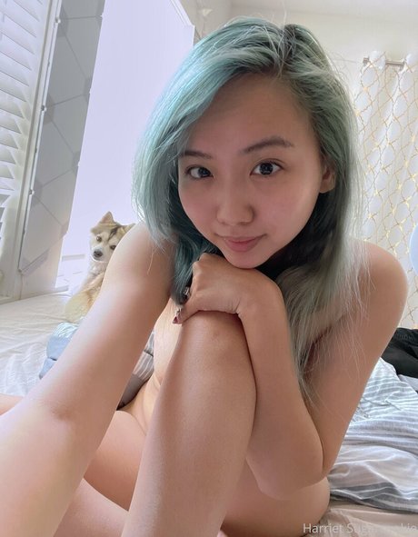 Freesugarcookies nude leaked OnlyFans pic