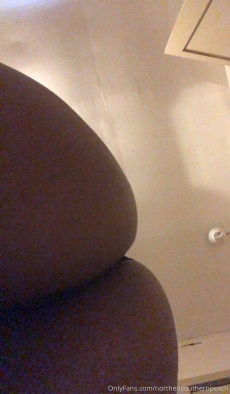Northernsouthernpeach nude leaked OnlyFans photo #11