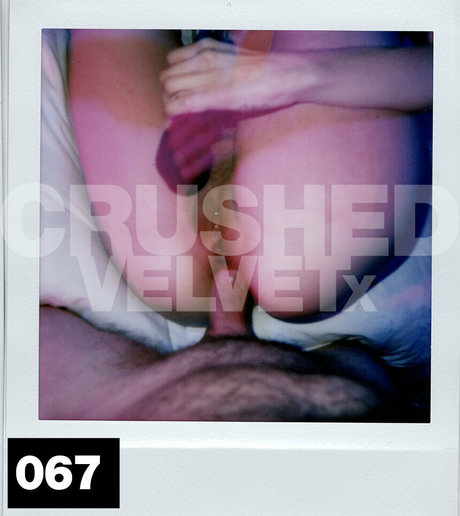 Crushedvelvetx nude leaked OnlyFans pic