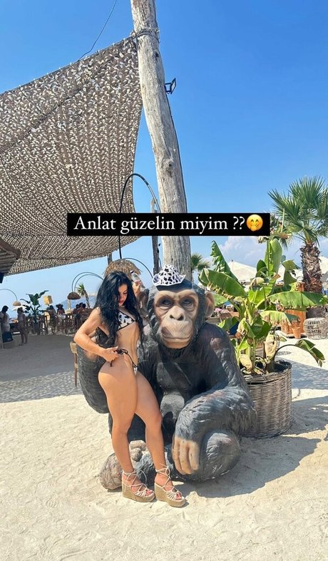 Dilara Deniz nude leaked OnlyFans photo #67