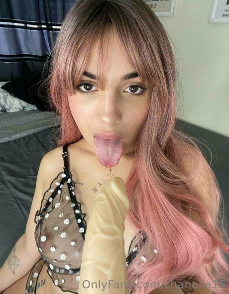 Chanelle18 nude leaked OnlyFans photo #41