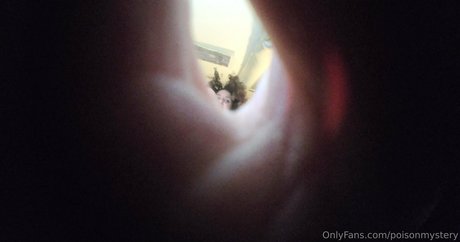 Poisonmystery nude leaked OnlyFans photo #23