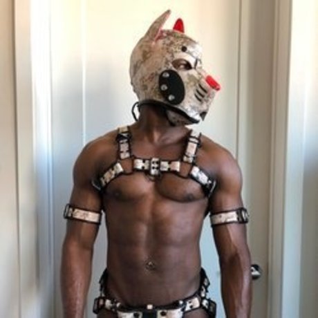 Jabarri Pup nude leaked OnlyFans pic