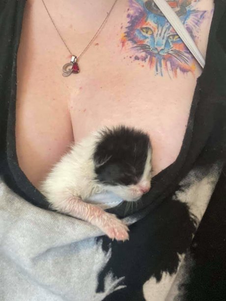 Kitties on Titties nude leaked OnlyFans pic