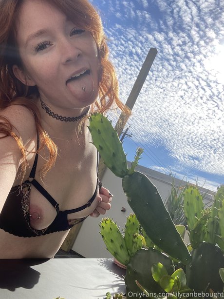 Lily_ana nude leaked OnlyFans photo #61