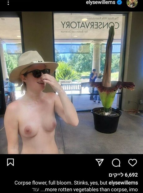 Elyse Willems nude leaked OnlyFans photo #25