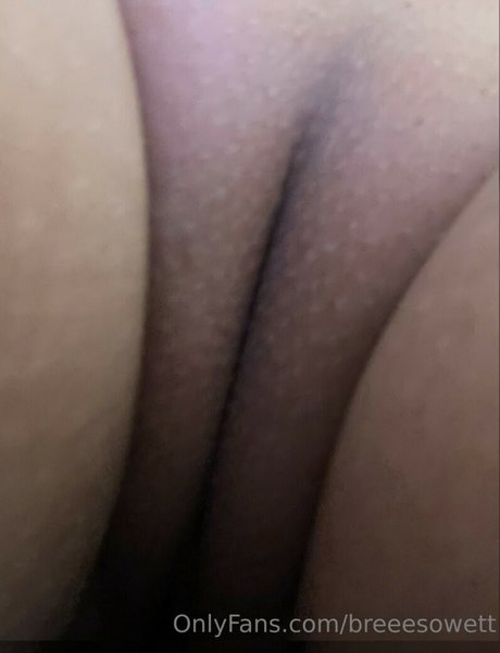 Breeesowet nude leaked OnlyFans pic