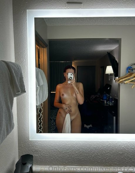 Ilikecats123 nude leaked OnlyFans photo #12