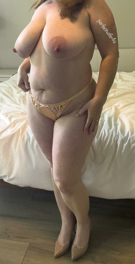 The Perfect Wife nude leaked OnlyFans photo #20