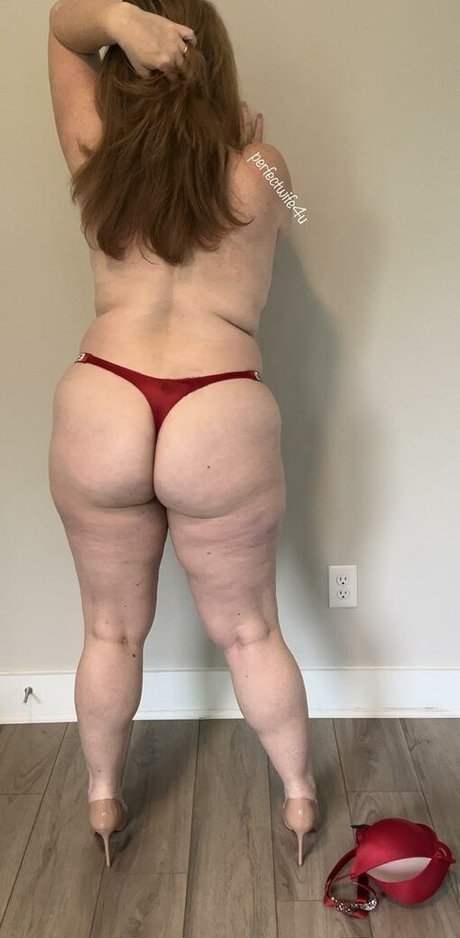 The Perfect Wife nude leaked OnlyFans photo #53