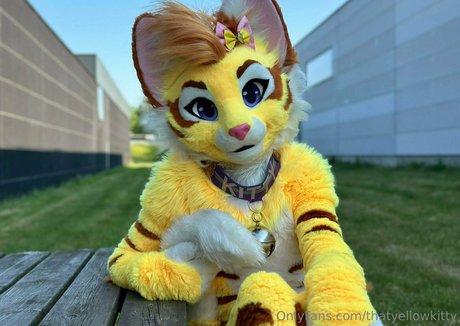 Thatyellowkitty nude leaked OnlyFans photo #15