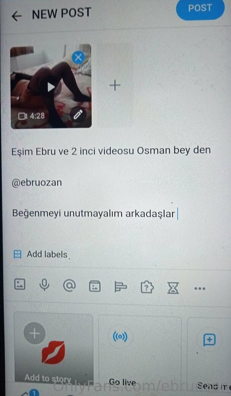 Ebruozan nude leaked OnlyFans photo #12