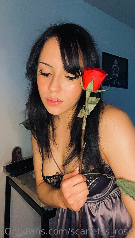 Scarletss_rose nude leaked OnlyFans photo #19