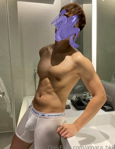 Alpaca_bkk nude leaked OnlyFans photo #30