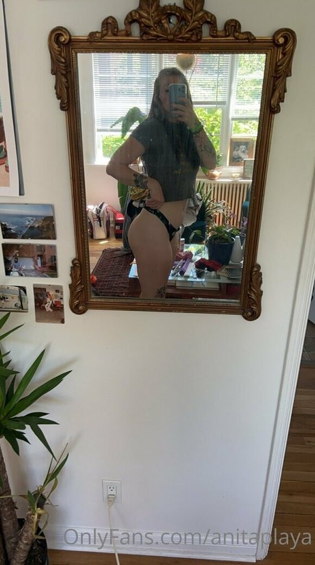 Anita Playa nude leaked OnlyFans photo #29