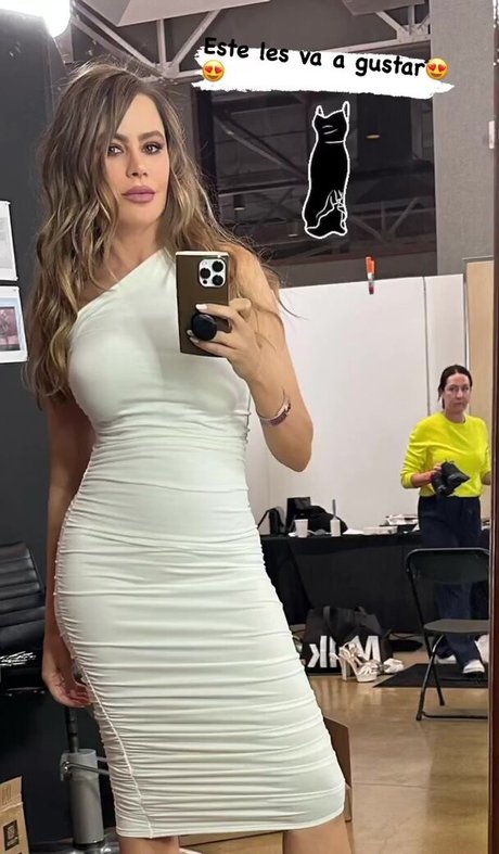 Sofia Vergara nude leaked OnlyFans photo #410