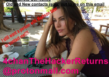 Sofia Vergara nude leaked OnlyFans photo #6