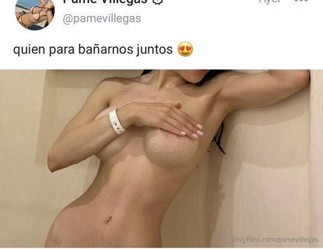 Pame Villegas nude leaked OnlyFans photo #4