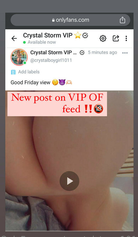Crystalstorm101 nude leaked OnlyFans pic