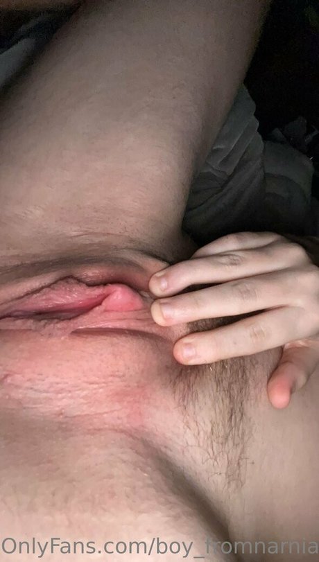 Boy_fromnarnia1 nude leaked OnlyFans pic