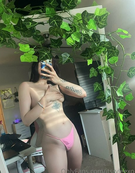 Itsazaleaxo nude leaked OnlyFans photo #36