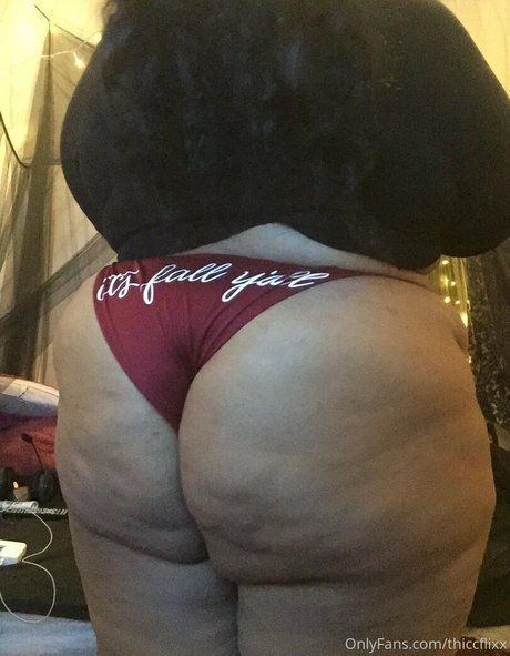 Thiccflixx nude leaked OnlyFans photo #15