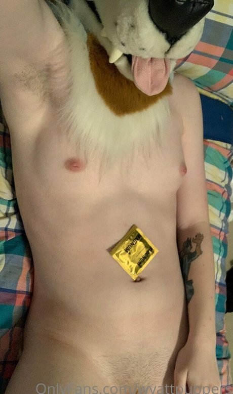 Wyattpuppers nude leaked OnlyFans photo #10